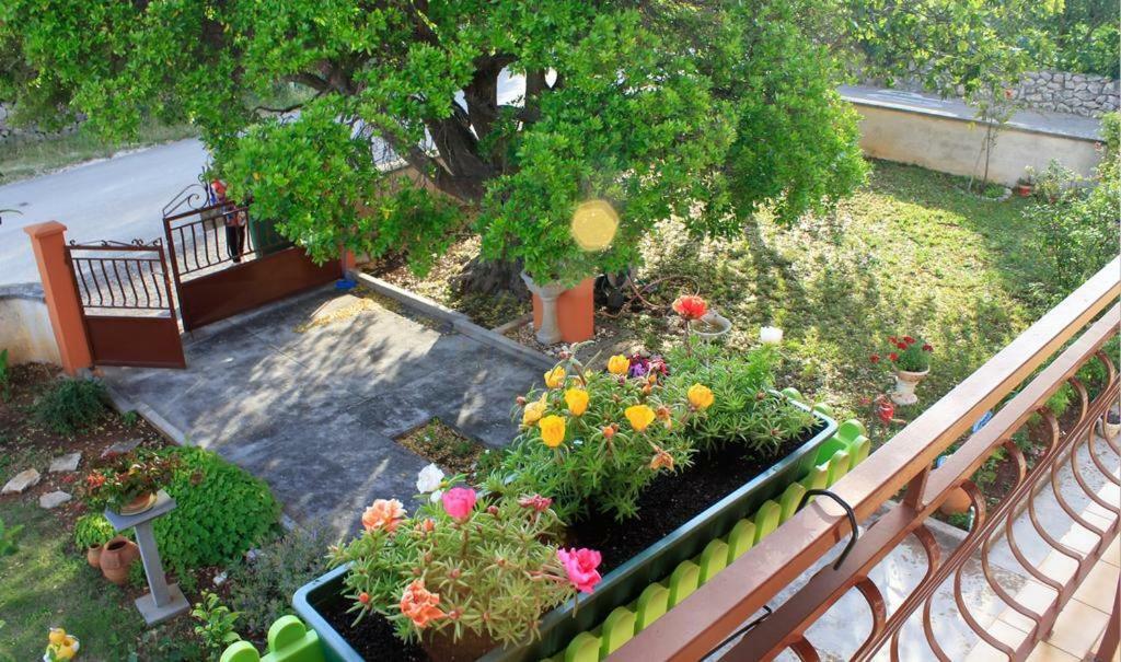 Apartmani Volga Petrcane Esterno foto