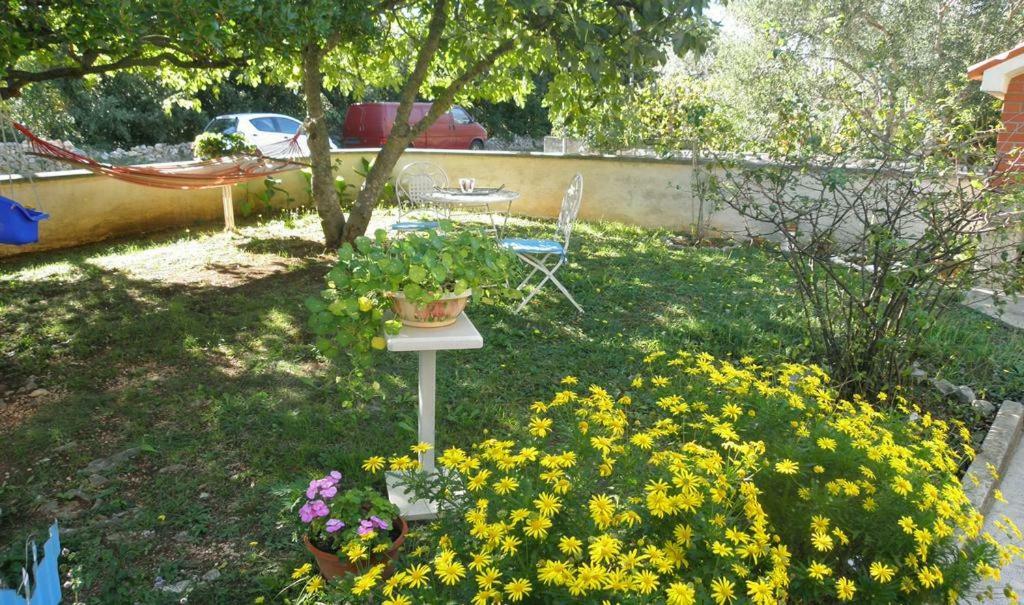Apartmani Volga Petrcane Esterno foto