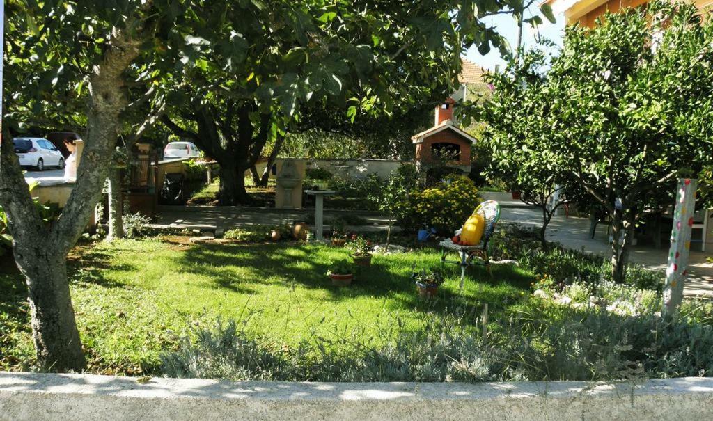 Apartmani Volga Petrcane Esterno foto